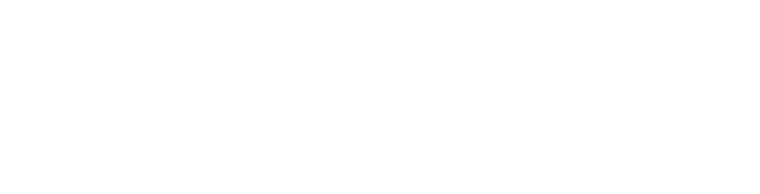 GSI ERP